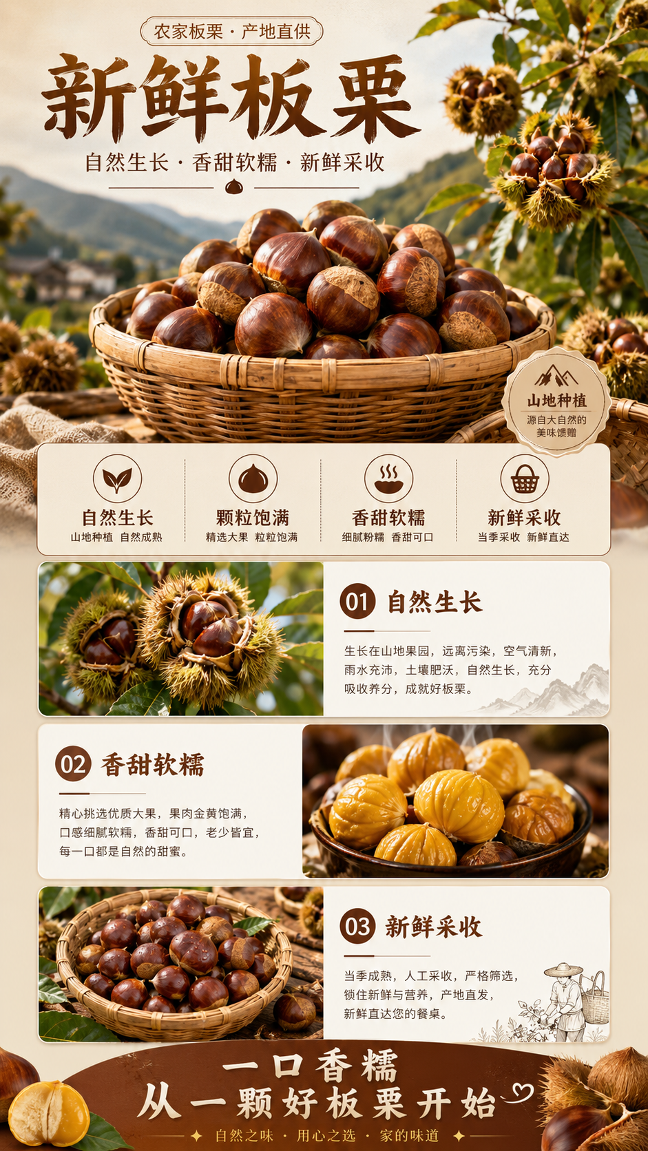 板栗详情图
