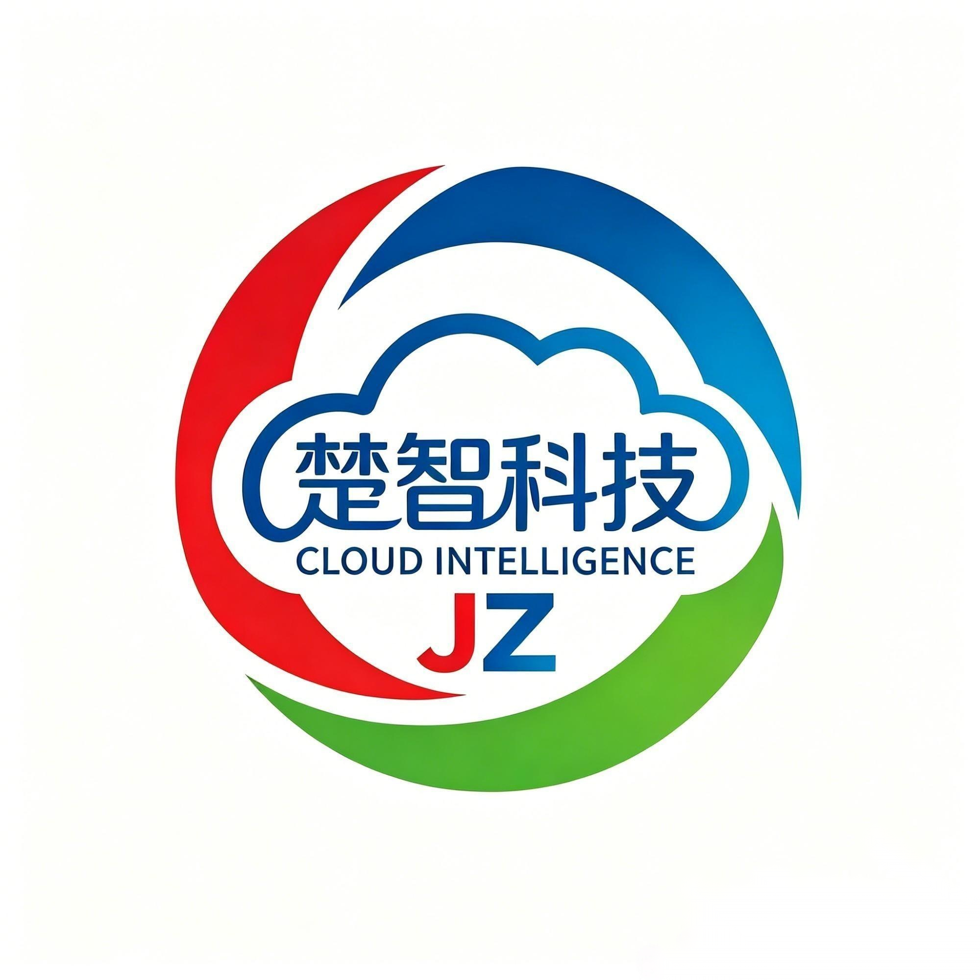 荆州楚智信息科技有限公司